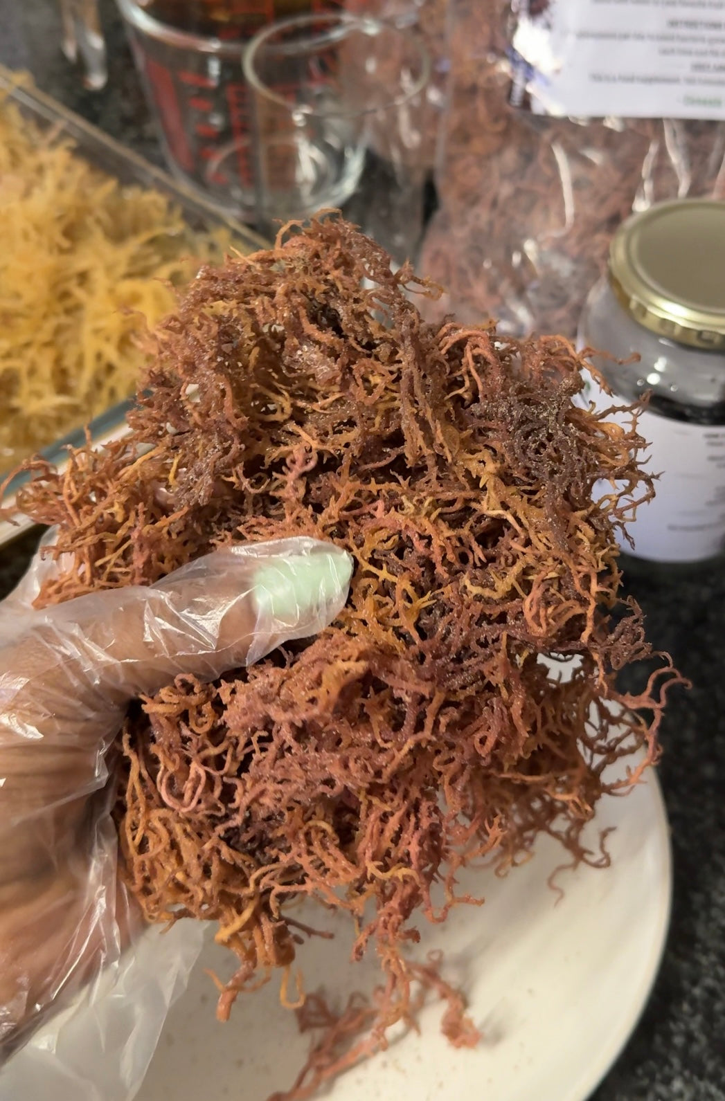 Raw Sea Moss