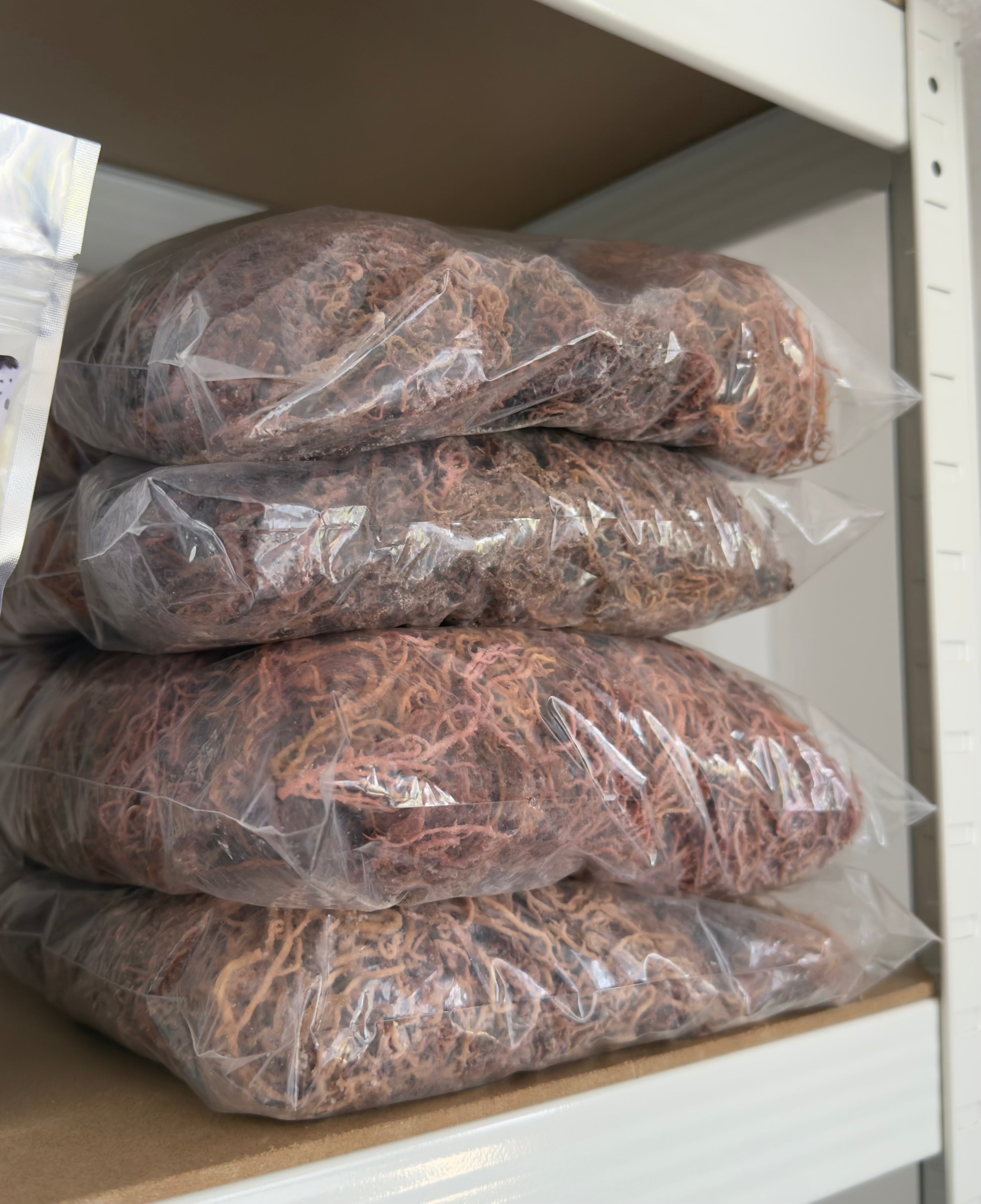 1kg Raw Sea Moss